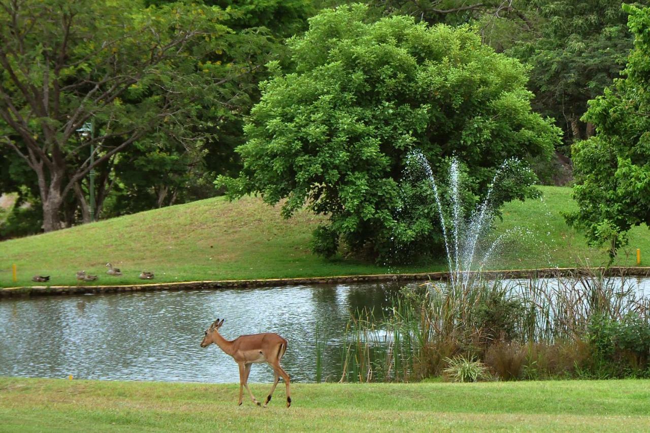 Kruger Park Lodge Unit No. 612 Hazyview Exteriér fotografie